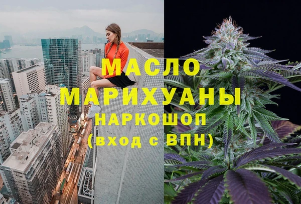 дмт Дмитриев