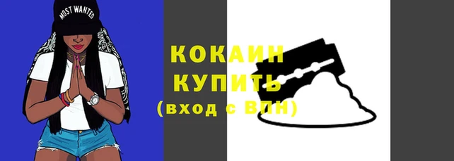 индика Дмитровск
