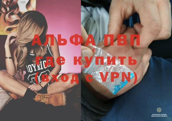 индика Дмитровск