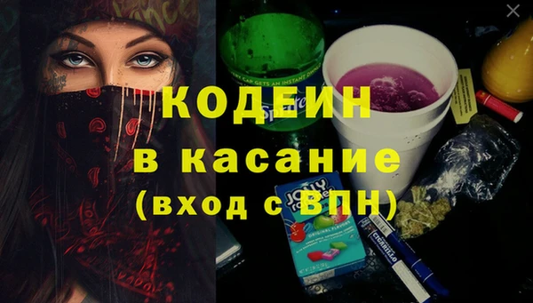 индика Дмитровск