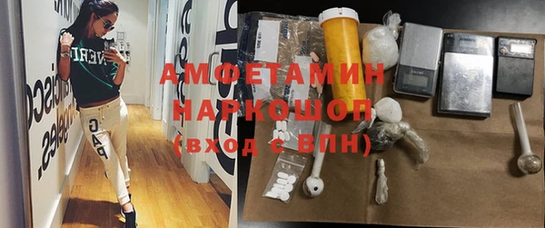 дмт Дмитров