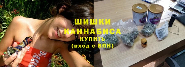 индика Дмитровск
