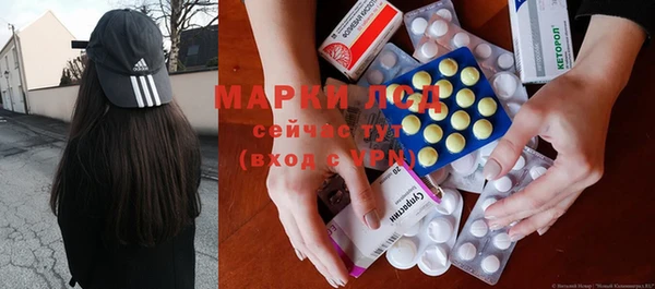 индика Дмитровск