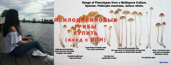 соль курить ск Гусь-Хрустальный